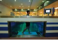 ��������� ������� ������� POOLTRACK PROFESSIONAL ��� ������������ � ���� ��������