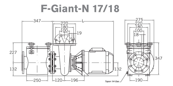 ���������� � ����������������� ������� ������ PSH F-Giant 17