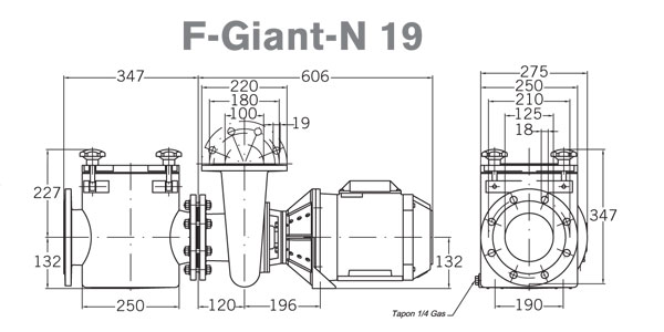 ���������� � ����������������� ������� ������ PSH F-Giant-N 19